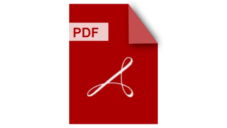 PDF zum Download